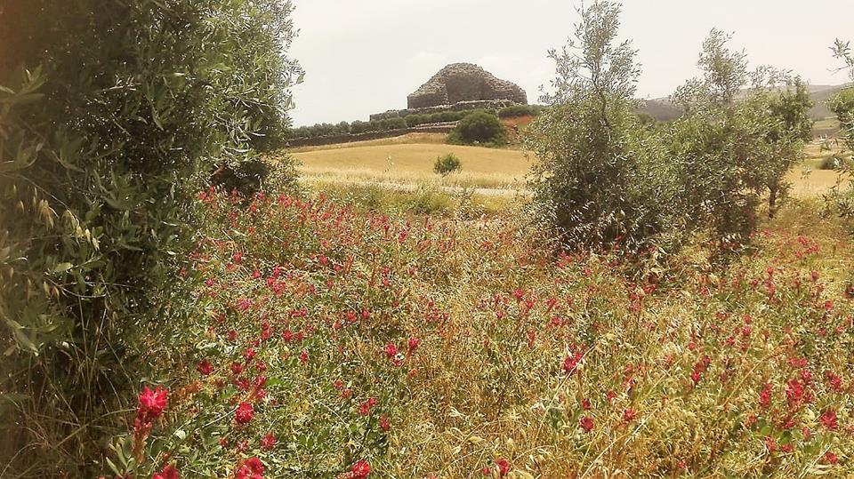 Barumini: Hotel Su Nuraxi per una Sardegna tutta da vivere