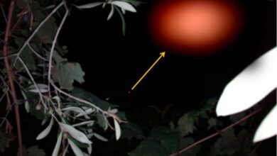 Photo of San Sperate: oggetto volante avvistato. Risponde l’esperto