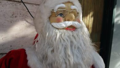 Photo of Panettone: come riconoscere l’originale