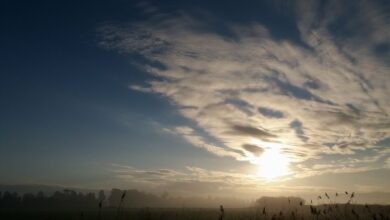 Photo of L’oroscopo 2019 segno per segno