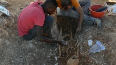 Photo of Chiaramonte Gulfi, scoperta necropoli del 3° secolo d.C.