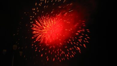 Photo of Sassari, Gianna Nannini protagonista sul palco di piazza d’Italia nella notte di Capodanno