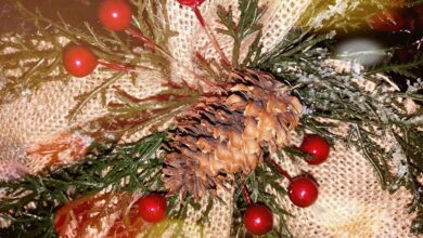 Photo of 2021: prognostici divino Otelma, Raggi, Conte e non solo