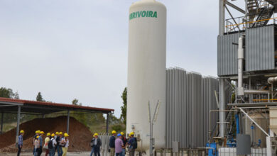 Photo of Sotacarbo SPA: Sit in a Cagliari