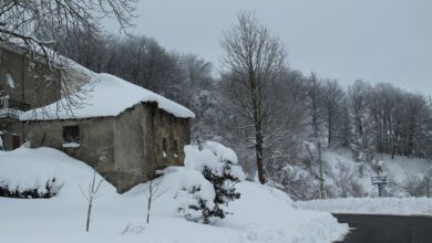 Photo of I giorni della merla, le due leggende
