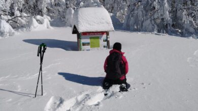 Photo of Eventi della settimana nelle Valli del Parco dell’Aveto