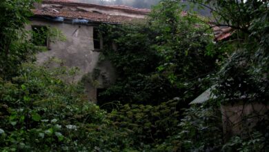 Photo of Villa Stuart, un passato misterioso