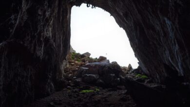 Photo of BCsicilia: visita virtuale alla Grotta Regina, il più importante Santuario Punico del Mediterraneo