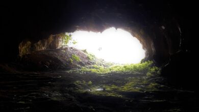 Photo of BCsicilia: visita virtuale alla Grotta della Zà Minica