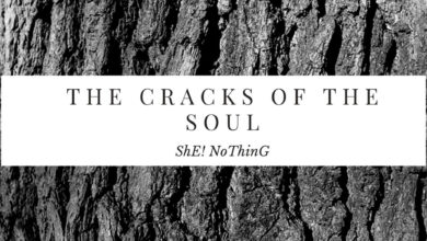 Photo of ShE!NoThinG: fuori ovunque “The cracks of the soul”