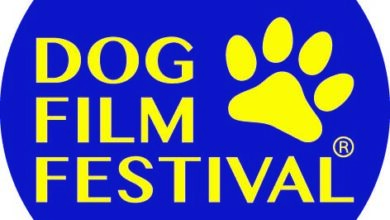 Photo of DOG FILM FESTIVAL: online il sito della prima rassegna cine-letteraria sul cane