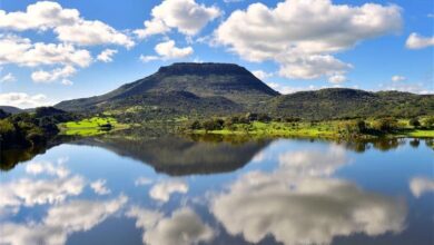 Photo of “Un giorno da pastore”: le opportunità del Turismo esperienziale nel Logudoro-Goceano