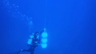 Photo of Sicilia e Malta: Rischi costieri, così monitoriamo e preveniamo le mareggiate