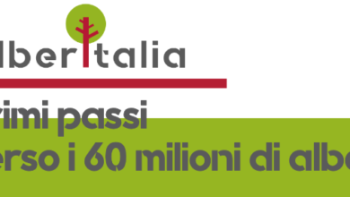 Photo of Fondazione AlberItalia: dare concretezza al bisogno di alberi per contrastare la crisi climatica