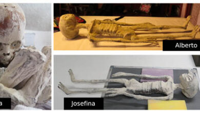 Photo of Mummia di Nazca: la possibile verità