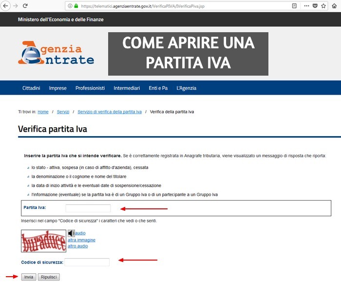 partita iva