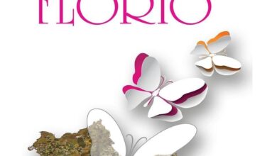 Photo of Amara chiusura dello storico Festivalflorio