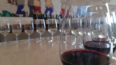 Photo of Concorso vini territorio, 4^ edizione con 70 cantine e 150 etichette in gara
