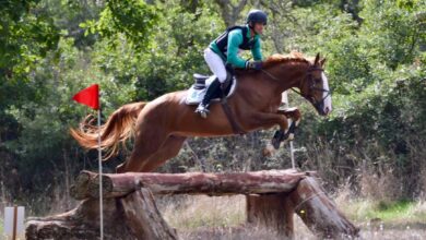 Photo of Abbasanta: a Tanca Regia arriva Agris, Dressage Paradressage