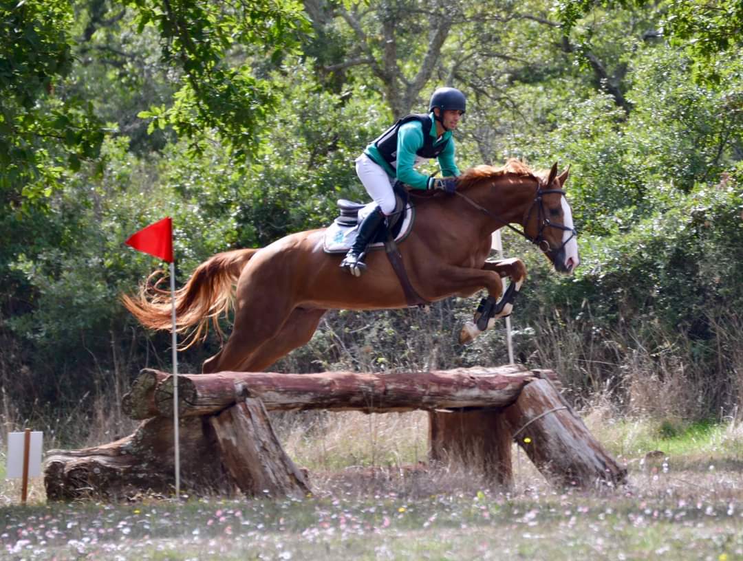 Abbasanta: a Tanca Regia arriva Agris, Dressage Paradressage