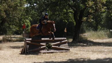 Photo of Sport equestri: a Tanca Regia