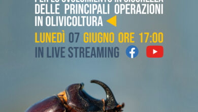 Photo of Progetto SINOL, soluzioni concrete per la realtà ligure