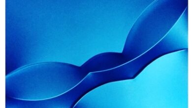 Photo of La personale di Giuseppe Amadio a Bari alla Contemporanea Galleria d’Arte