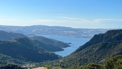 Photo of Tutelare acqua per difendere agricoltura