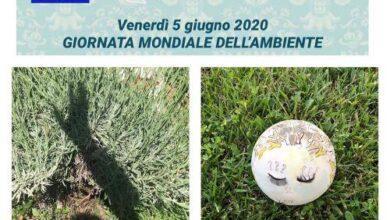 Photo of Savona Oggi è la Giornata Mondiale dell’ Ambiente