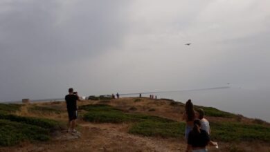 Photo of Incendi, UILA Sardegna: vicini alle comunità colpite dal disastro e ai lavoratori impegnati a combattere le fiamme