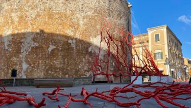 Photo of L’ALBERO DEL CORALLO RISPLENDE AD ALGHERO