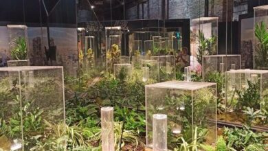 Photo of Con i critici alla Biennale di Venezia
