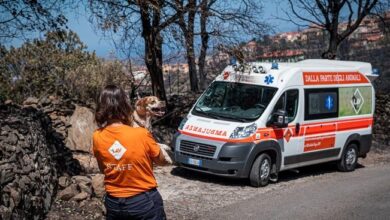Photo of LAV – EMERGENZA INCENDI IN SARDEGNA