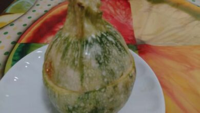 Photo of Zucchine tonde ripiene di pane, secondo piatto