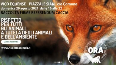 Photo of Vico Equense RACCOLTA FIRME al Piazzale Siani domenica 29 agosto 2021 ore 16 -22