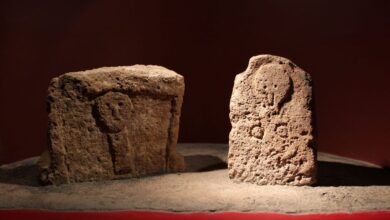Photo of Alghero MŪSA Museo Archeologico e MACOR Museo del Corallo in occasione delle Giornate Europee del Patrimonio