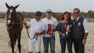 Photo of Tanca Regia (Abbasanta) il 59° Premio Regionale Sardo – Cloes, allevata da Raffaele Mulas, è il campione sardo 2021