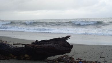 Photo of La leggenda di Brolo e di Maria la bella