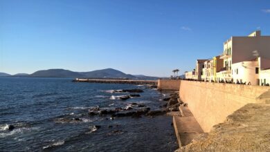 Photo of Confartigianato Imprese Sassari: crisi aeroporto Alghero