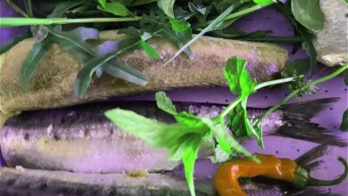 Photo of Grassi buoni, ecco i cibi che li contengono