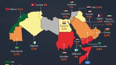 Photo of FMI: Ottima la performance dell’economia del Regno del Marocco