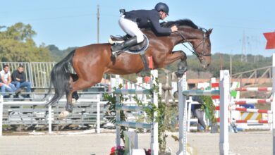 Photo of Salto ostacoli: al Sardegna Junmping Tour 2021 arrivano l’olimpionico Kirchhoff e il fuoriclasse Govoni