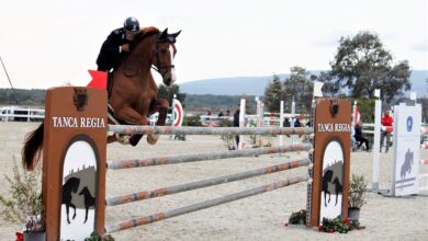 Photo of Salto ostacoli e allevamento: a Tanca Regia (Abbasanta) Cloes e Contestatrice vincono la Combinata della Vetrina d’Elite