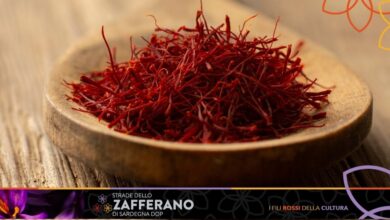 Photo of XXXI Mostra Regionale Dello Zafferano – Domenica 14 Novembre San Gavino Monreale