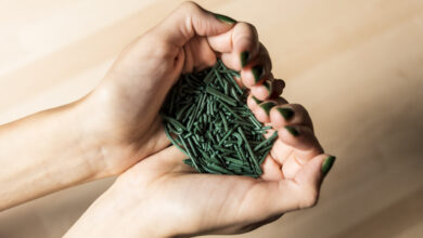 Photo of Oristano: il superfood alga spirulina cerca fondi