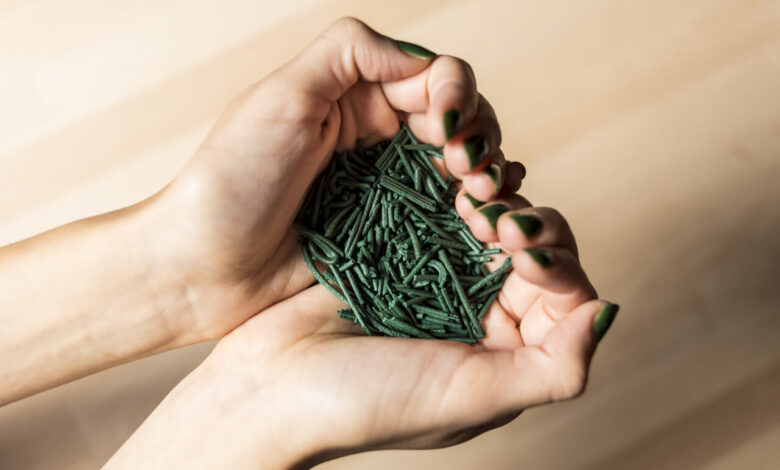 Oristano: il superfood alga spirulina cerca fondi