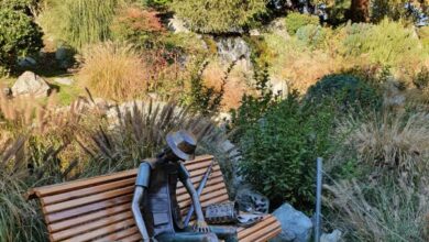 Photo of Torino nuova zona finestra