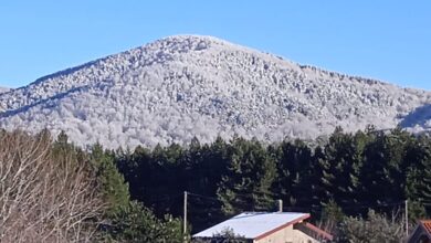 Photo of San Paolo dei segni, la tradizione del 25 gennaio
