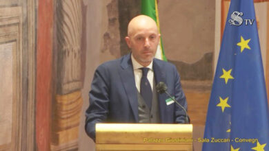 Photo of Dl Malattia professionisti, De Lise (commercialisti): un ‘miracolo italiano’