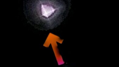 Photo of UFO DI BOLOGNETTA, C.UFO.M. APPELLO AI TESTIMONI DELL’AVVISTAMENTO PER VISIONARE IL VIDEO E SVOLGERE LE INDAGINI